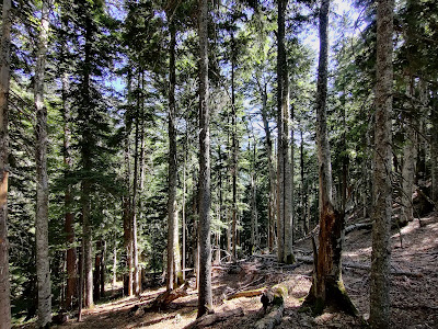 Skakavac Vodopad — fotografia 4