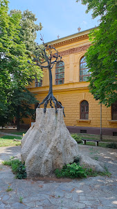 Wosinsky Mór County Museum — fotografia 4