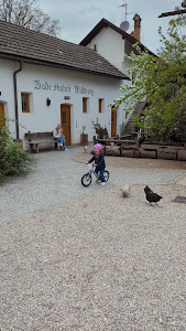Camping Ansitz Wildberg — fotografia 2