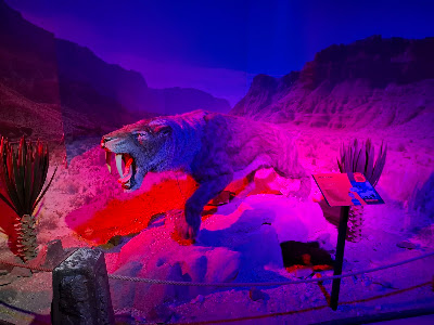 DinoPark Liberec Plaza — fotografia 5