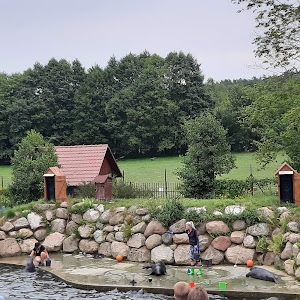 Charlotta Valley Seal Sanctuary — fotografia 3