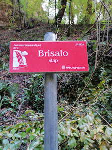 Slap Brisalo - Slapnica — fotografia 5