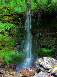 Parque Natural Sierra de Cebollera — fotografia 3