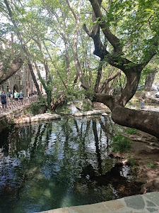 Krya Park — fotografia 5