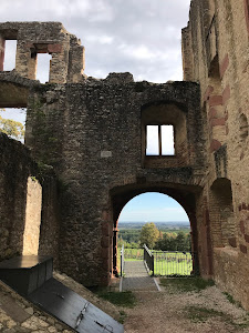 Ruine Burg Landskron — fotografia 4