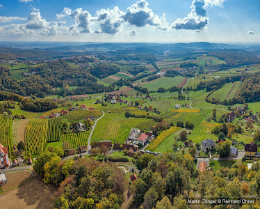 Weinweg der Sinne St. Anna am Aigen — fotografia 5