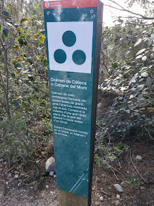 Ruta prehistòrica 2 — fotografia 5