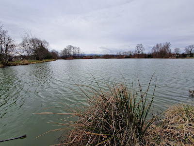 Łowisko na Zawodziu — fotografia 4