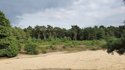 Natuurkampeerterrein Leenderbos — fotografia 5