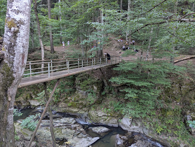 Cascada Slanic - Punte — fotografia 5
