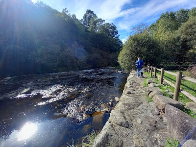 Área Recreativa da Carixa — fotografia 4