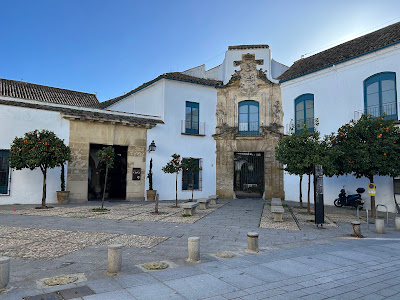 Palacio de Viana — fotografia 3
