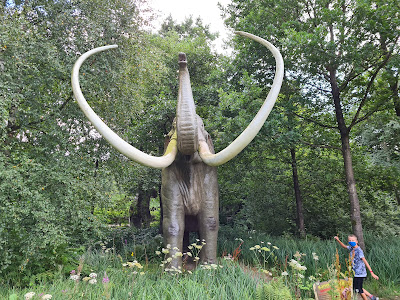 Familien-Freizeitpark Tolk-Schau — fotografia 5