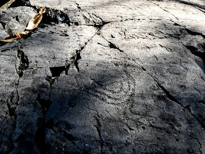 Riserva Naturale Incisioni Rupestri di Ceto, Cimbergo e Paspardo — fotografia 5