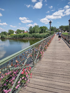 Parcul de Aventură Comana — fotografia 5