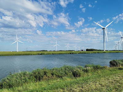 Oesterdam westzijde badstrand — fotografia 3