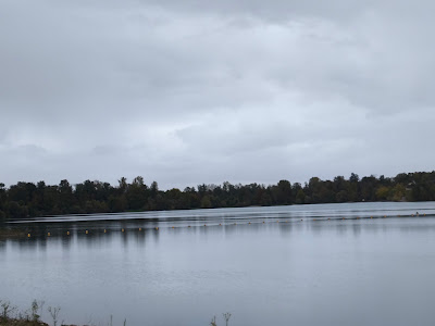 Waldmattensee Strand — fotografia 3