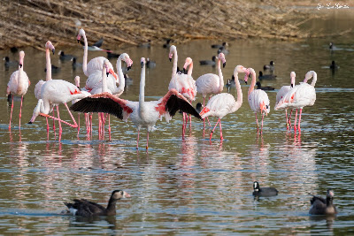 Cañada de los Pájaros — fotografia 3