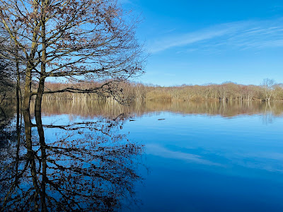 Wandelstartpunt Woudweg — fotografia 5