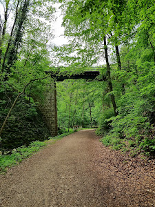 Cuha-völgyi pihenőpark és erdei tanösvény — fotografia 5