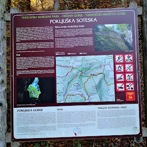 Pokljuka Gorge