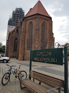 Katedra p.w. Wniebowzięcia Najświętszej Maryi Panny — fotografia 4