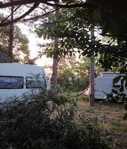 Camp na Fruškoj gori - Vidmar