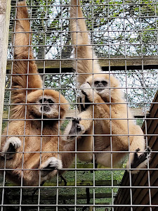 Skærup Zoo — fotografia 4