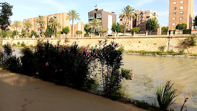 Fluvial de Murcia Río Park — fotografia 2