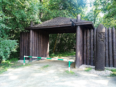 Las Sołtysowicki — fotografia 5