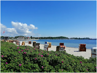 Ostsee Info-Center — fotografia 5