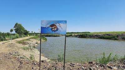 Balta lui Doru