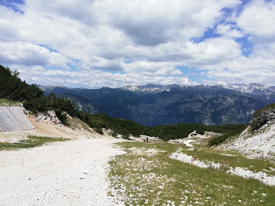 Vogel — fotografia 4