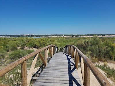 Paraje natural Marismas del Río Piedras y Flecha de Nueva Umbría — fotografia 5