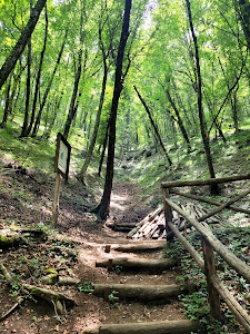 Naturalistic Area Frassineto — fotografia 3