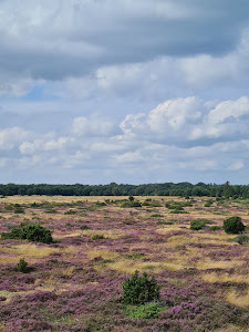 Tofteskovtårnet