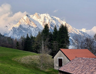 Trattoria Rifugio Carota — fotografia 4