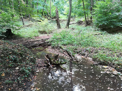 Nyugat-Mecsek Landscape Protection Area