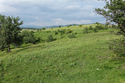 Băile Dungó (Crăciunel)