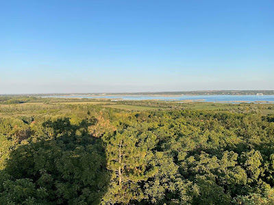 Pákozdi Pagony Vadaspark és Arborétum — fotografia 5