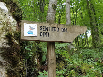 Inizio Sentiero del Dint (CAI 997) — fotografia 4