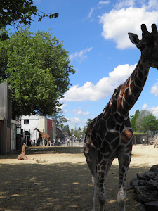 Grădina Zoologică Artis — fotografia 3