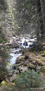 Demyanishka River eco-trail — fotografia 3