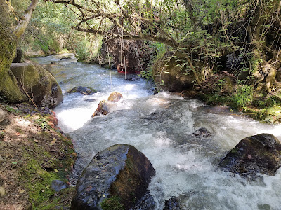 Sendero Nuevo Acceso A Los Cahorros Por cauce Rio Monachil — fotografia 5
