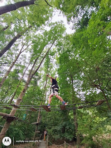 Adventure Three Oaks Park — fotografia 3
