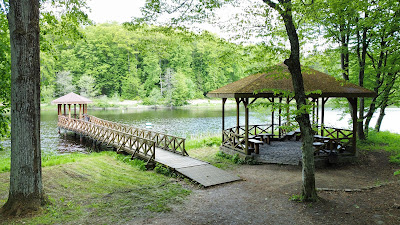 City Forest Giżycko — fotografia 4