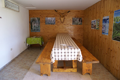 CAMPING PLACE BEAR — fotografia 3