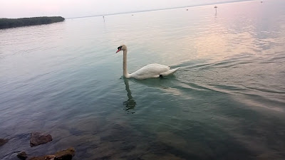 Balatonfűzfő Fövenyfürdő Strand — fotografia 2