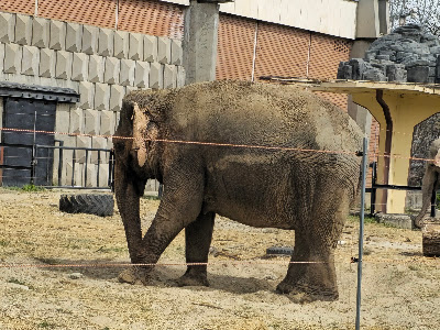 The Sofia Zoo — fotografia 3