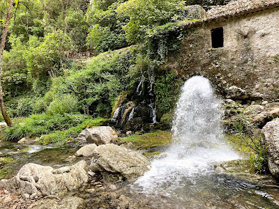 Oasi WWF Grotte del Bussento — fotografia 3